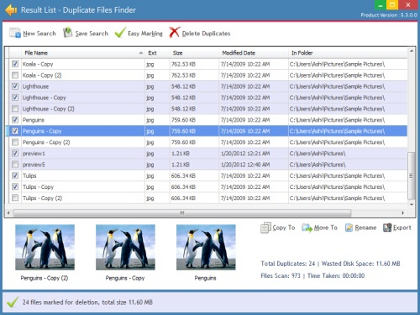 Duplicate File Finder Professional 2023.14 download the last version for ipod Duplicate File Finder Professional 2023.14 download the last version for ipod