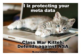 War-Kitteh protects your data!
