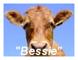 Bessie the Cow